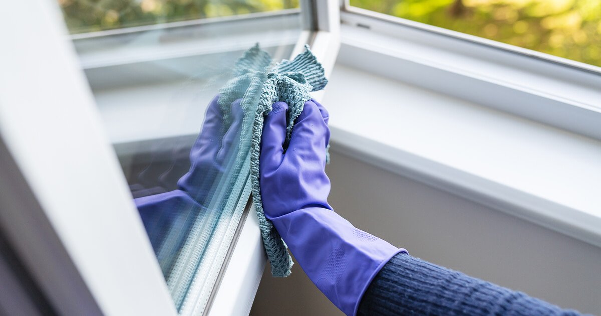 Fensterreinigung - 4