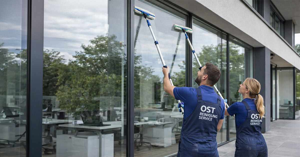 Fensterreinigung